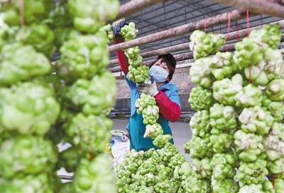 这个春节 第一书记更忙了