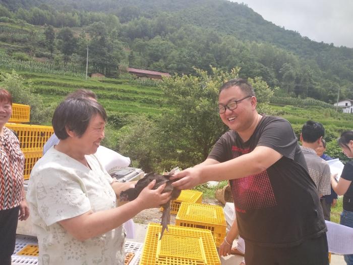 2.2018年7月12日给贫困户发放致富鸡苗