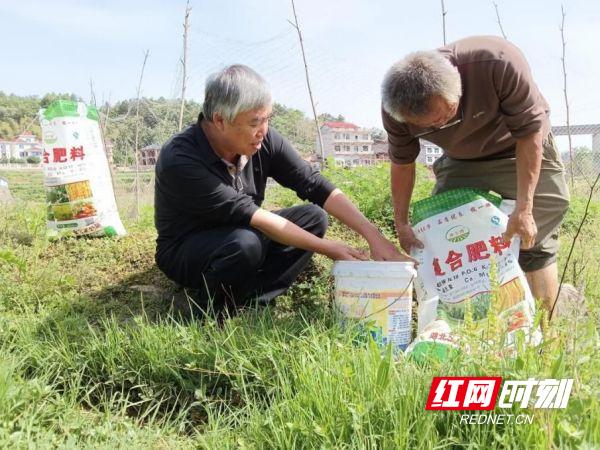 涟源市三协村：驻村干部绘就“一亩地”的幸