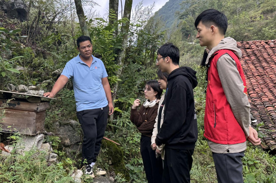 龙波带领广西艺术学院人文学院大学生团队对野生金银花蜜进行现场调研。广西艺术学院供图