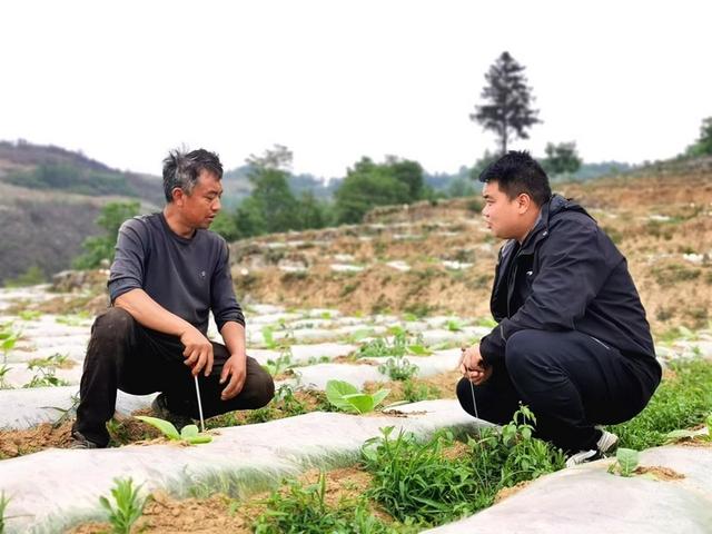 贵州毕节税务：第一书记，建设美好乡村的桥