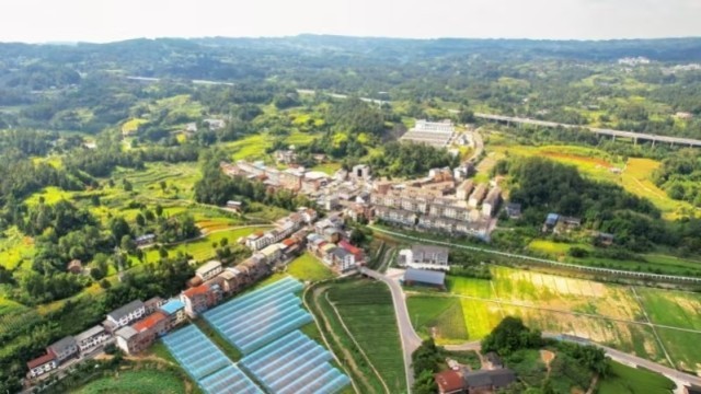 “镇”兴关键词⑥|重庆市南川区河图镇：集体经济化零为整 农旅融合点“绿”成金