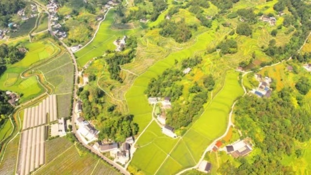 “镇”兴关键词⑥|重庆市南川区河图镇：集体经济化零为整 农旅融合点“绿”成金