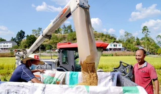 “镇”兴关键词⑥|重庆市南川区河图镇：集体经济化零为整 农旅融合点“绿”成金